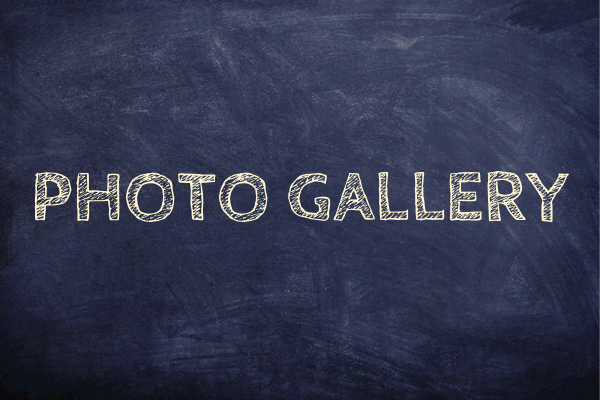 Photographs